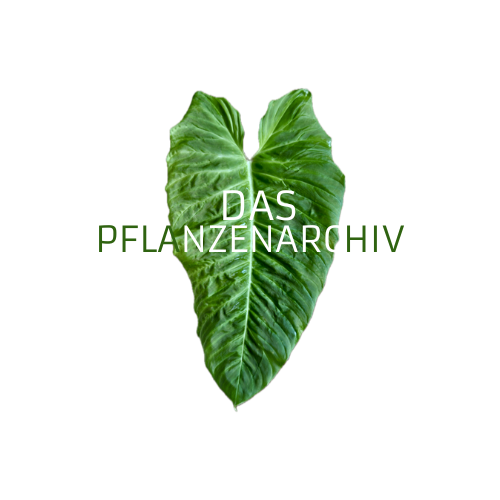 Das Pflanzenarchiv